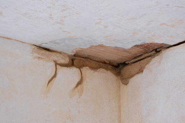 Best Flood damage cleanup  in Hennessey, OK